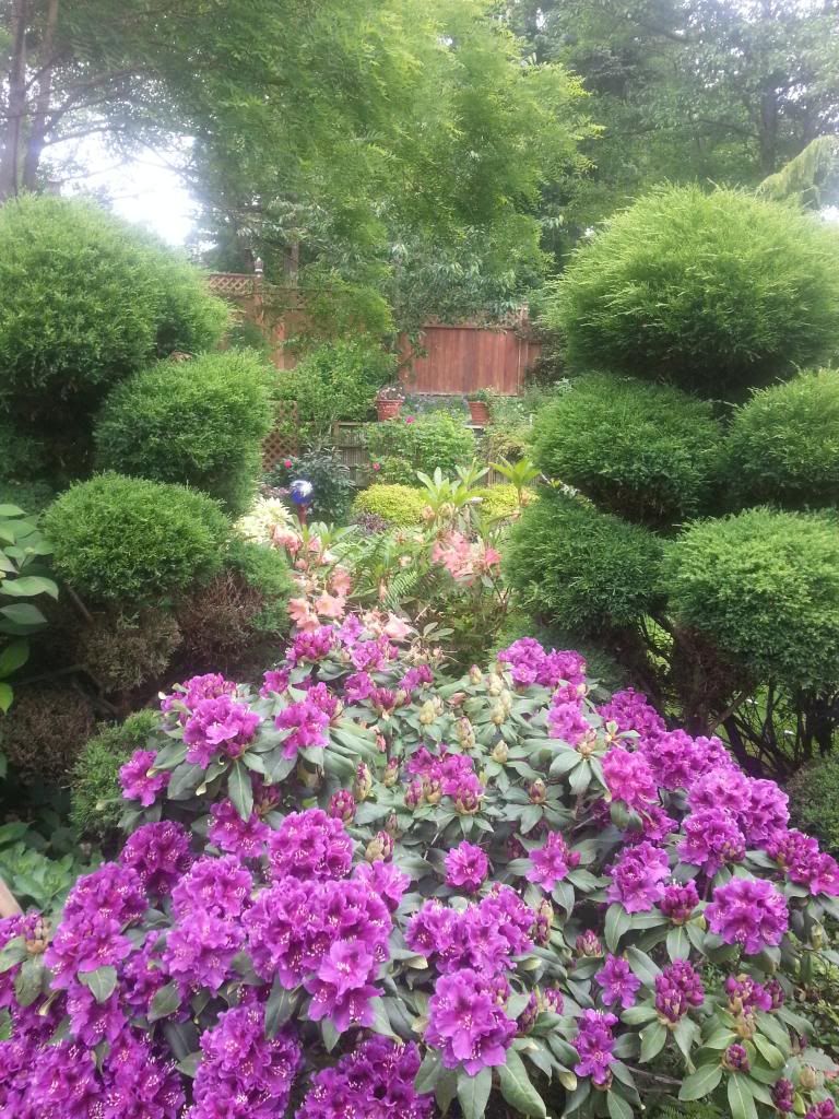  photo 20140525_095242_zpswr8dcbuh.jpg